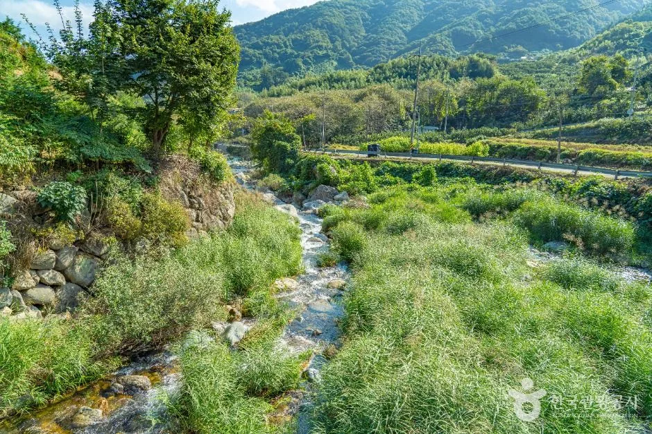 산청_고운동계곡 (5)