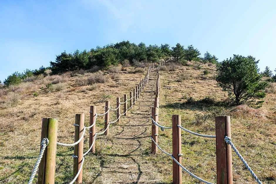 제주_동거문오름 (1).jpg