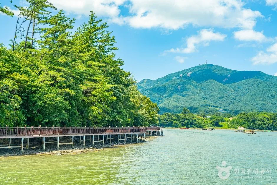 하동_술상 전어마을 (2)