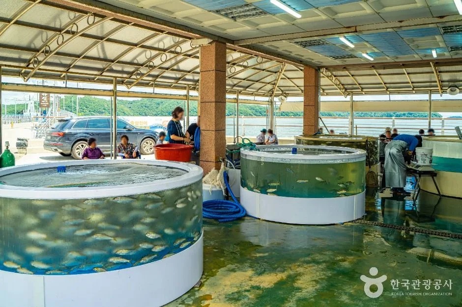 하동_술상 전어마을 (6)