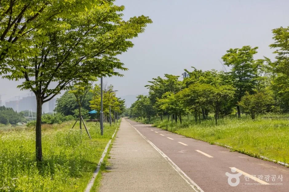 인천_늘푸른공원 (6)