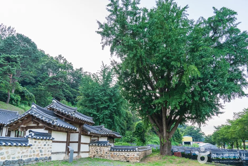 충북_보은_풍림정사(15)