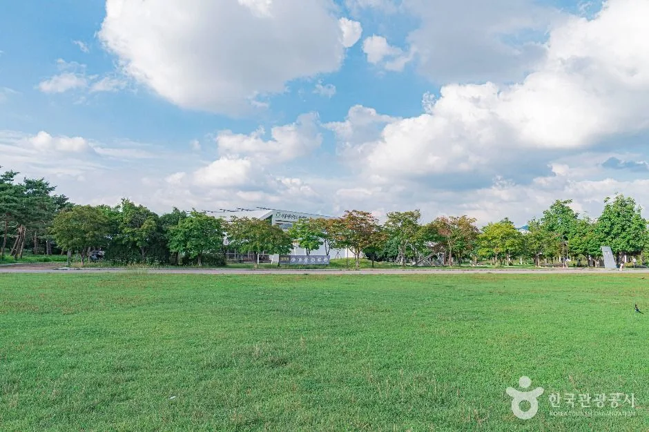 서울_평화잔디광장 (5)