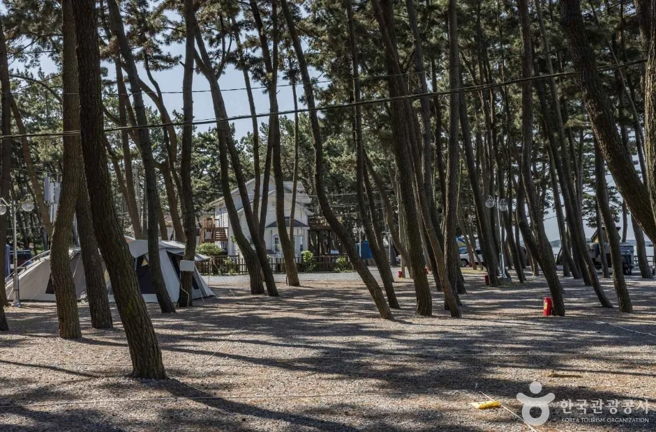 몽산포해수욕장 (6)
