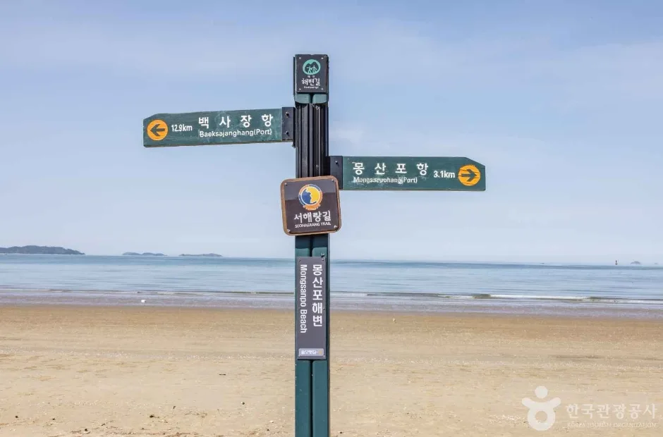 몽산포해수욕장 (9)