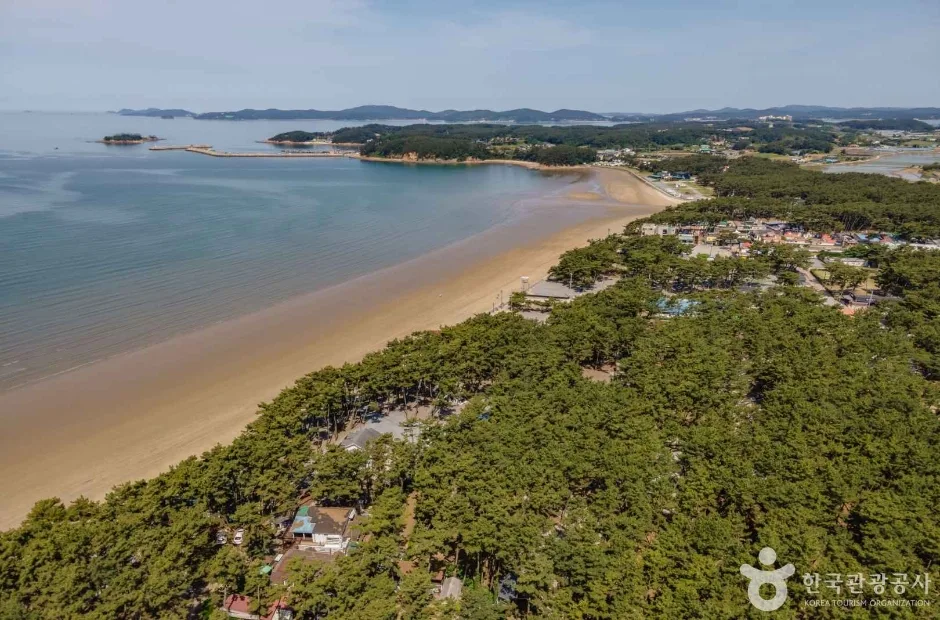 몽산포해수욕장 (5)