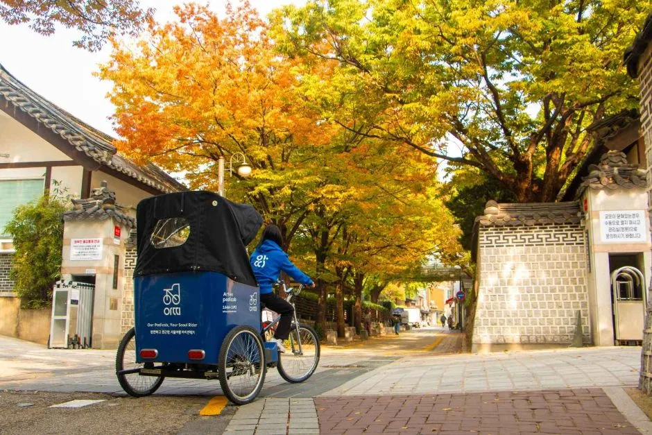서울_아띠인력거 (3)