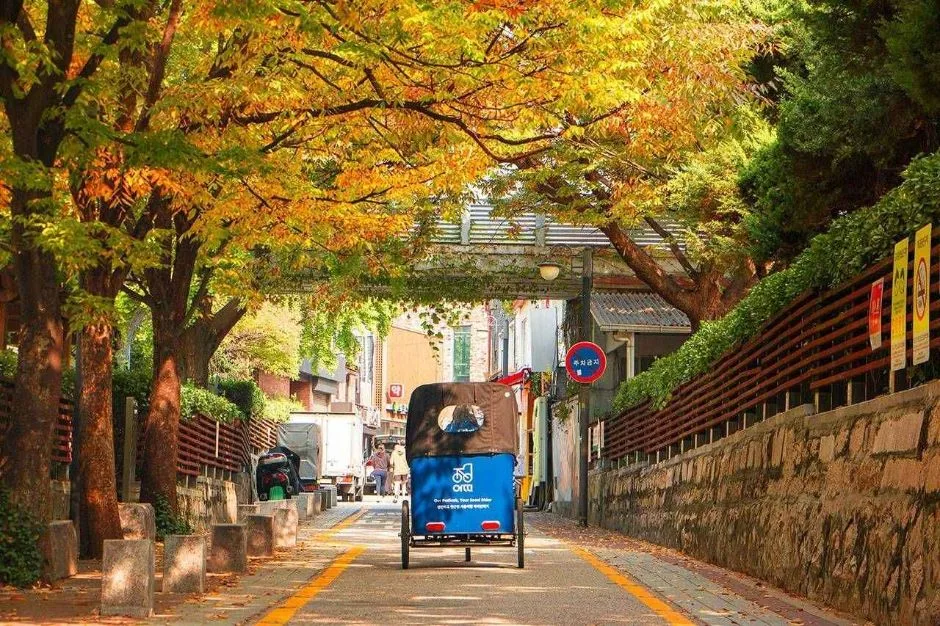 서울_아띠인력거 (12)