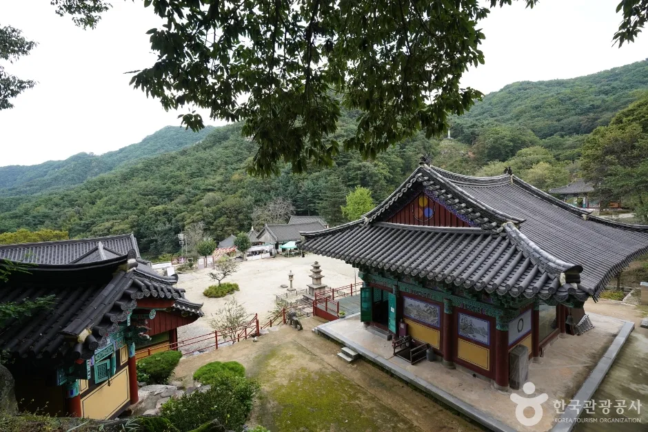 원효대사의 숨결을 따라가는 경산 산사 여행_경북_경산_불굴사_9.jpg