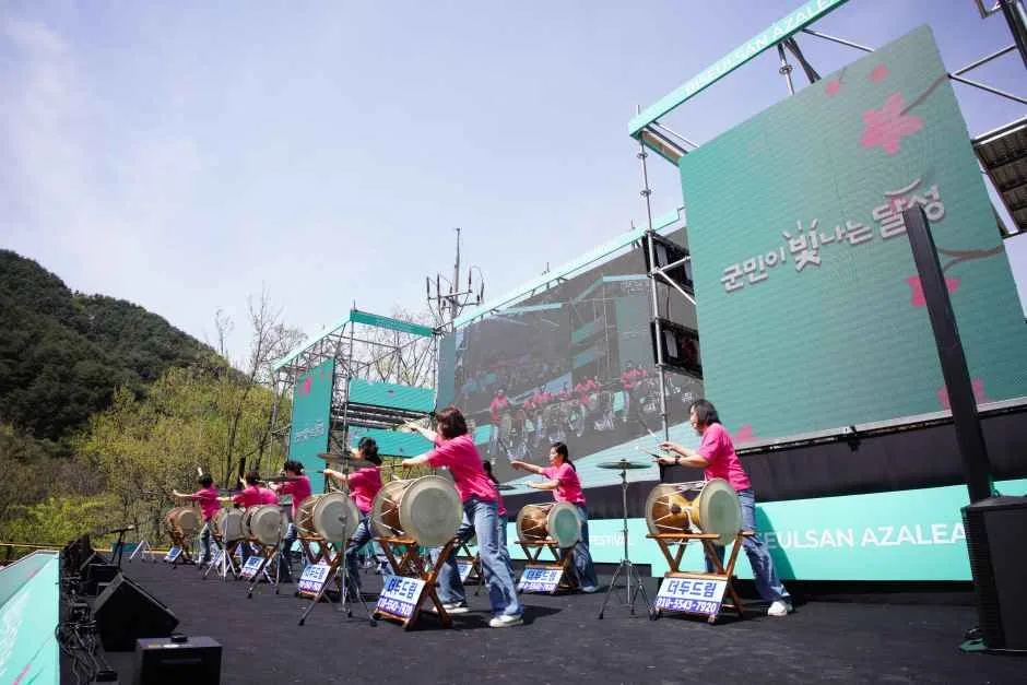 2026 비슬산 참꽃문화제 (3).JPG