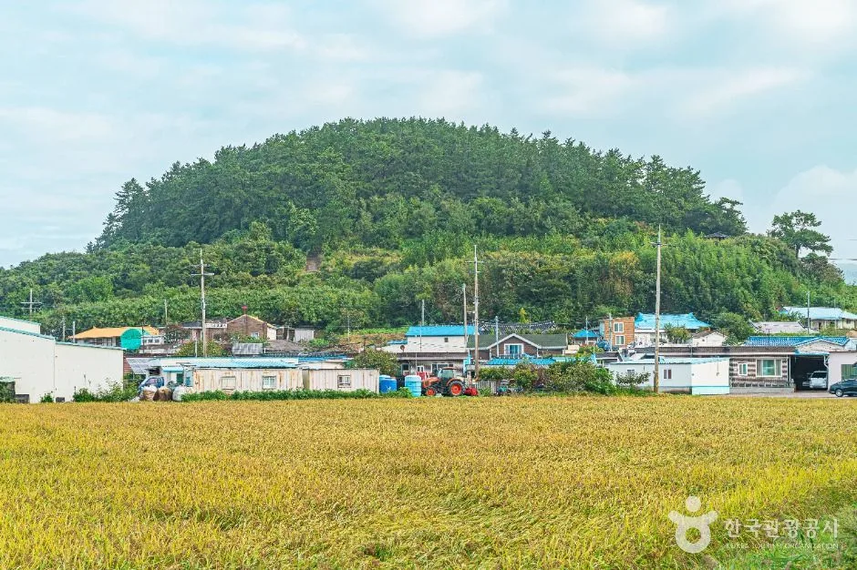 진도_진도 소포검정쌀마을 (2)