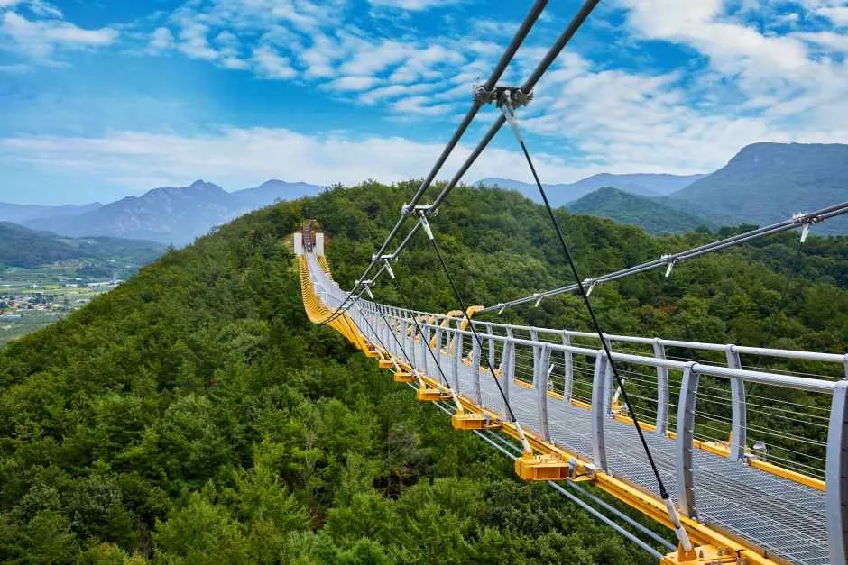 봉명산 출렁다리_3