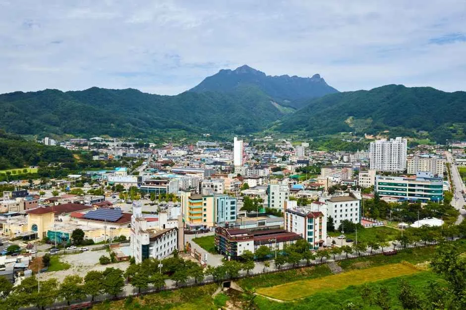 봉명산 출렁다리_6