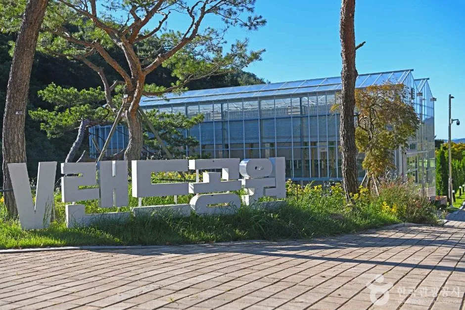 보은산V랜드 (2)