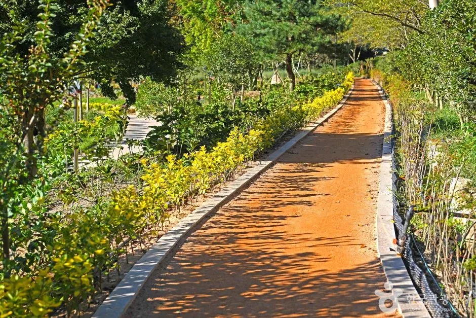 보은산V랜드 (6)