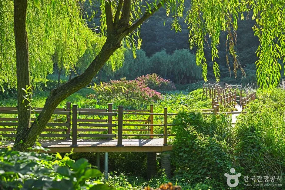 보은산V랜드 (4)