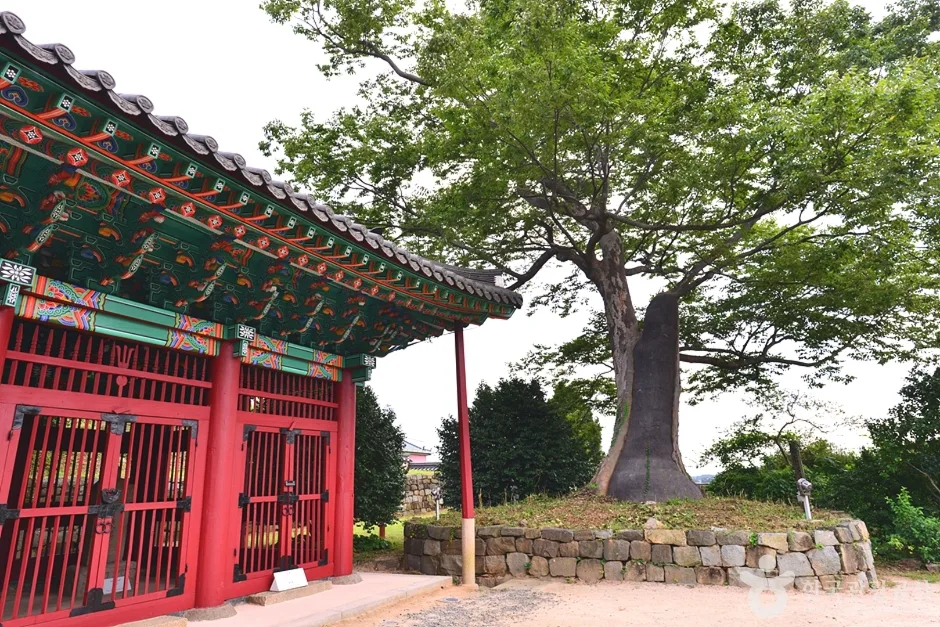 전남_여수_타루비 (3)