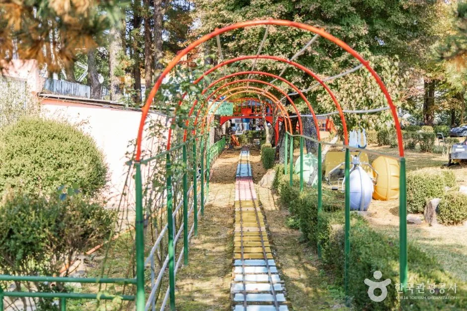 춘천_육림랜드 (8)