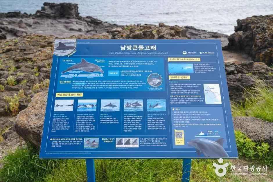 제주_제주_핀스&뿔소라공원_15.jpg