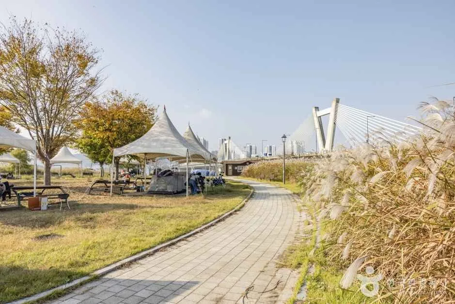 세종_숲뜰근린공원 (4)