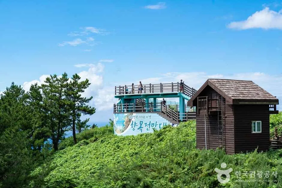 울릉도