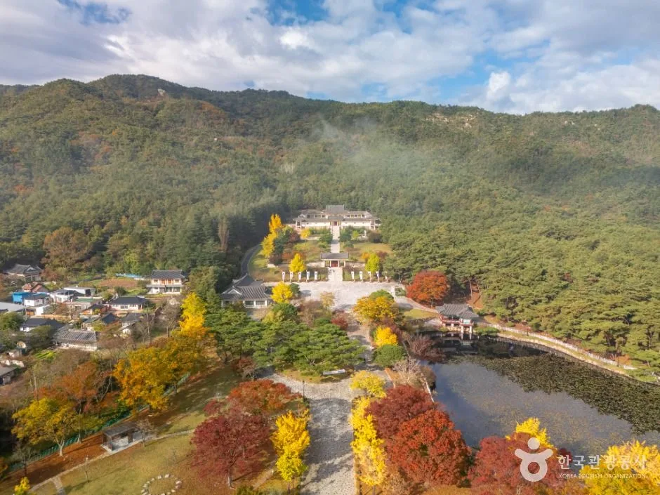 경주_통일전 은행나무길 (5)