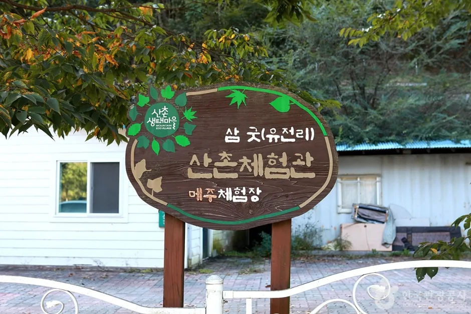 삼굿마을 (19)