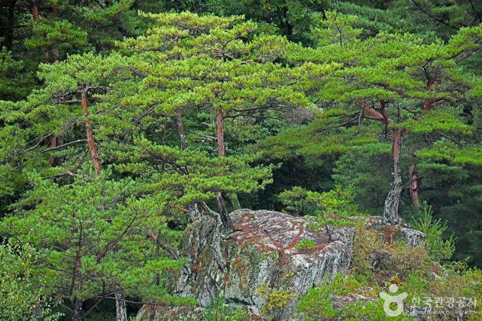 강원_평창_팔석정 (5)