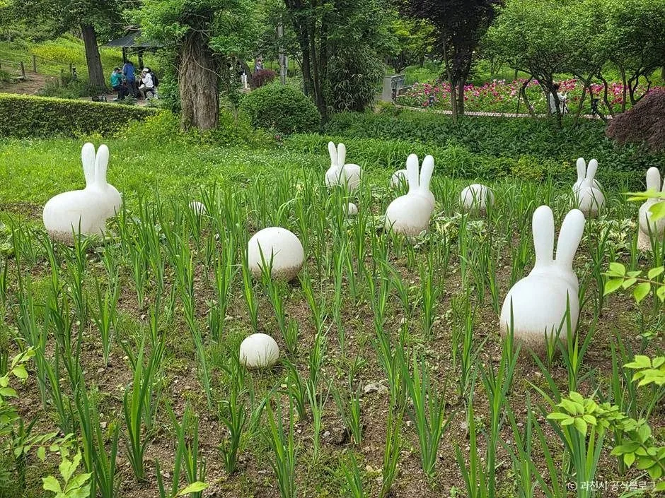 과천_과천야생화자연학습장 (5)