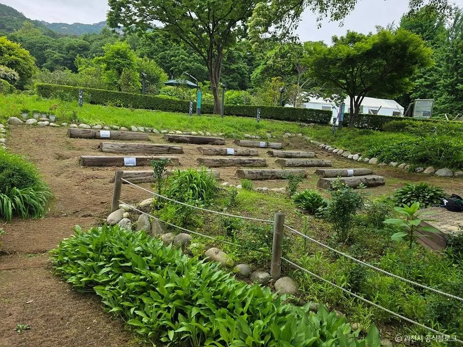 과천_과천야생화자연학습장 (6)