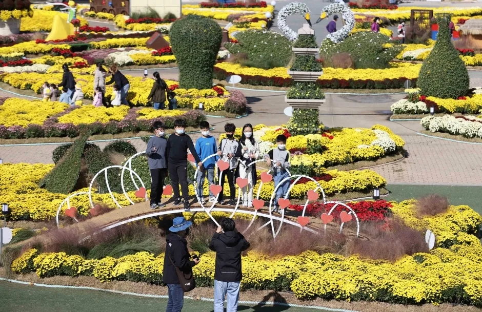 2026 강진만 춤추는 갈대축제 (7).jpg