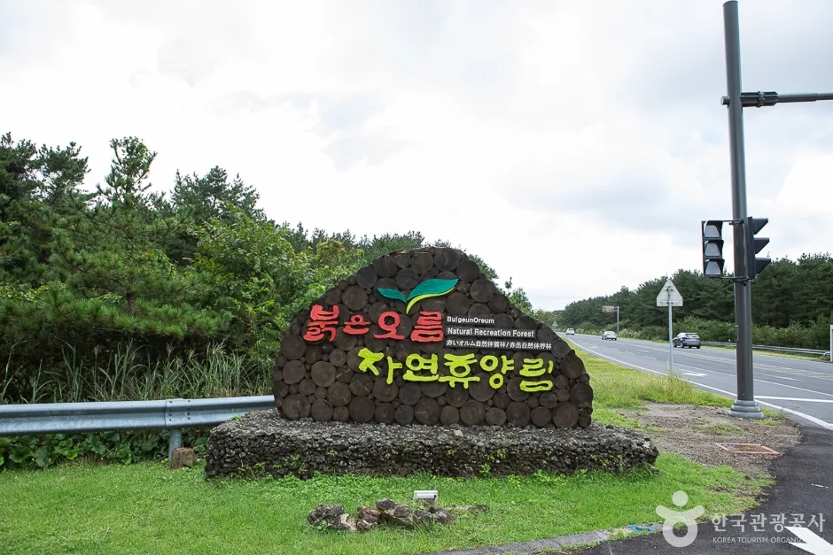 제주_서귀포_붉은오름자연휴양림(1)