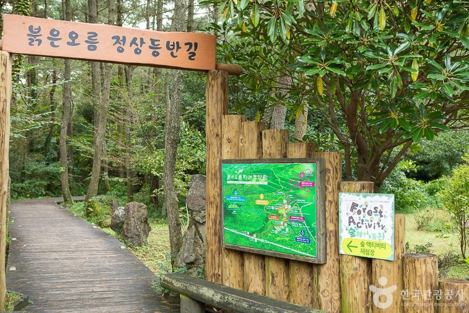 제주_서귀포_붉은오름자연휴양림(12)