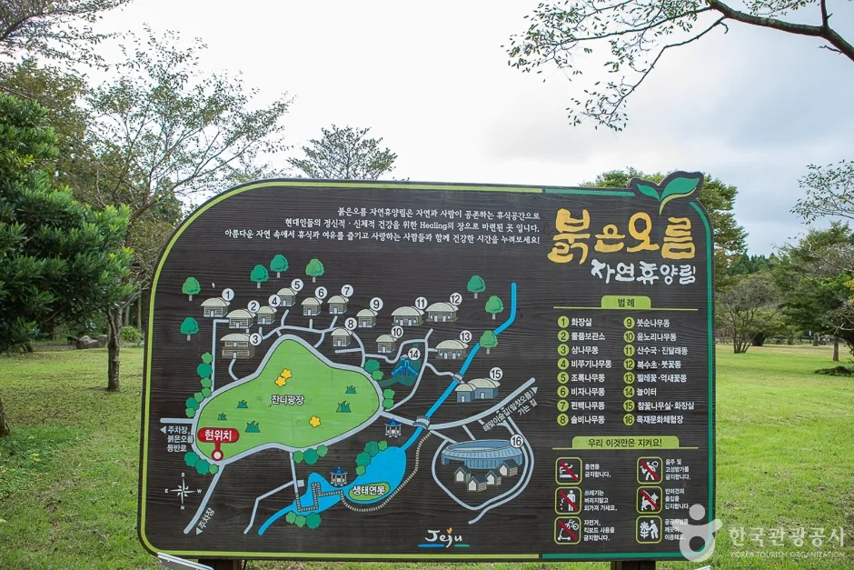제주_서귀포_붉은오름자연휴양림(13)