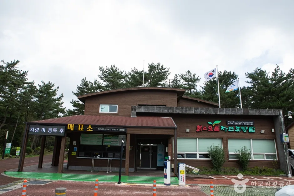 제주_서귀포_붉은오름자연휴양림(4)