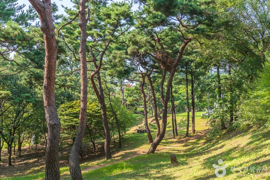 청주 발산공원 (3)