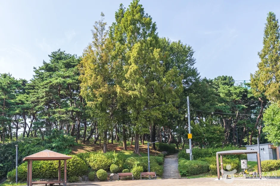 충북_청주시_청주 발산공원 (3).jpg