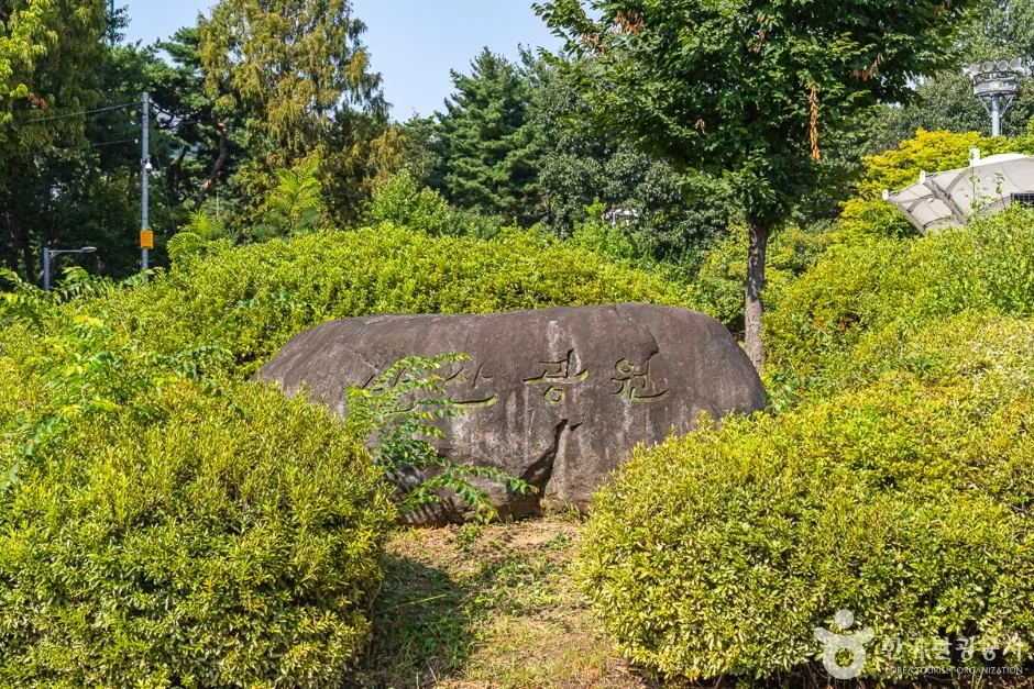 충북_청주시_청주 발산공원 (1).jpg