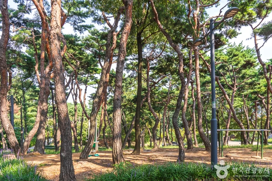 충북_청주시_청주 발산공원 (5).jpg